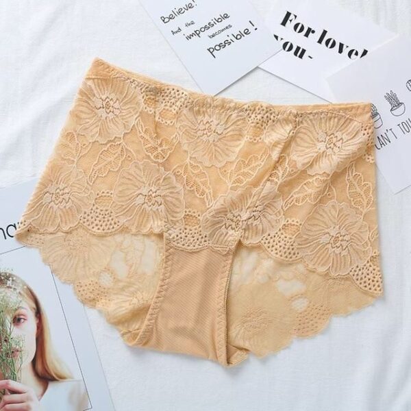 Stylish Net Panties Lace Underwear For Girl's Briefs Pantie For Women's Ladies - Image 4
