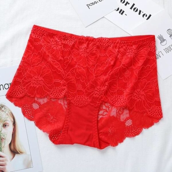 Stylish Net Panties Lace Underwear For Girl's Briefs Pantie For Women's Ladies - Image 2