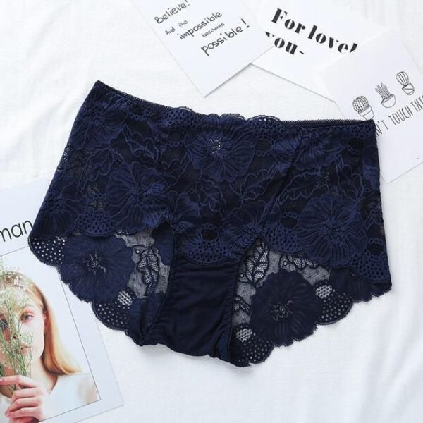 Stylish Net Panties Lace Underwear For Girl's Briefs Pantie For Women's Ladies - Image 3