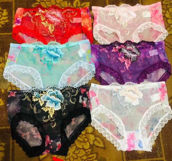Lace Underwear For Girl's Briefs Pantie For Women's Ladies Undergarments Stylish Net Panties