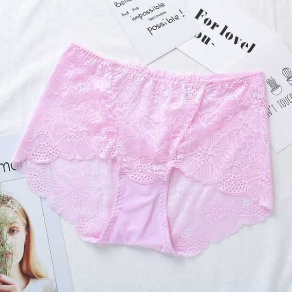 Stylish Net Panties Lace Underwear For Girl's Briefs Pantie For Women's Ladies - Image 5