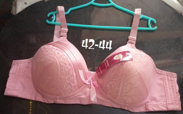 Fancy Adjustable Women Soft Padded Bras For All Occasion and Weather with Back Hooks - Image 2