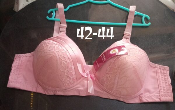 Fancy Adjustable Women Soft Padded Bras For All Occasion and Weather with Back Hooks - Image 4