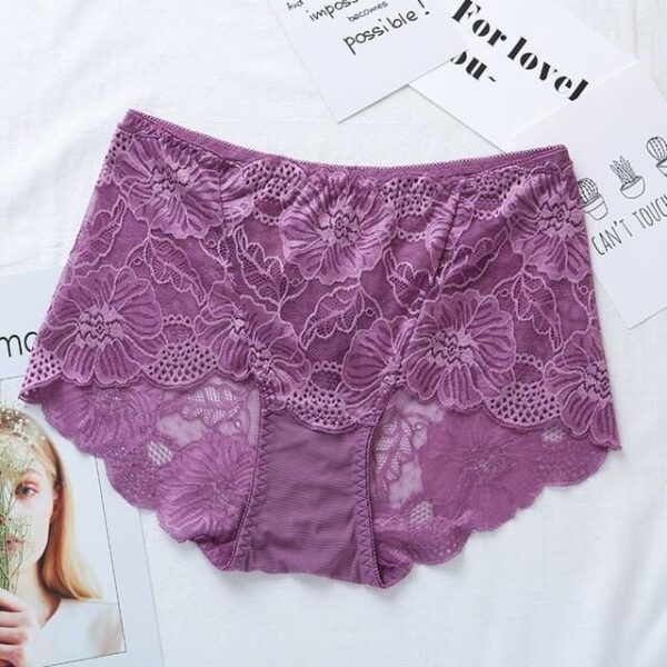 Stylish Net Panties Lace Underwear For Girl's Briefs Pantie For Women's Ladies - Image 6