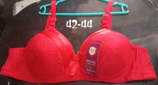 Fancy Adjustable Women Soft Padded Bras For All Occasion and Weather with Back Hooks